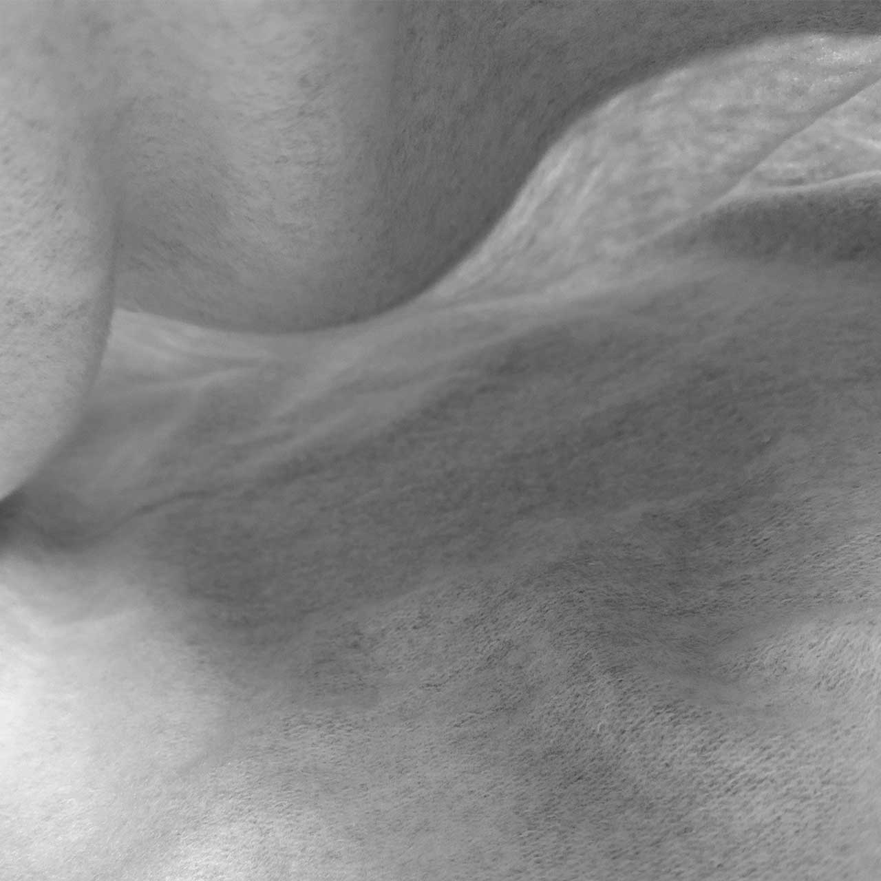 gray_all