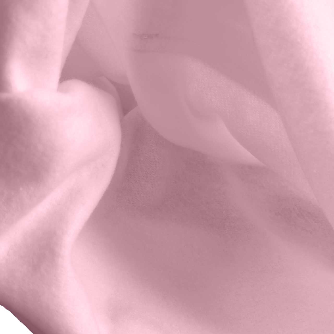lightpink_all